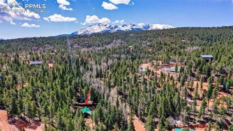 Tiny photo for 155 Squilchuk Trail, Woodland Park, CO 80863 (MLS # 6827038)