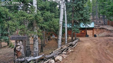 Tiny photo for 155 Squilchuk Trail, Woodland Park, CO 80863 (MLS # 6827038)