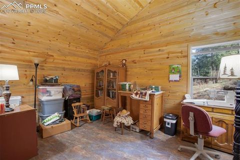 Tiny photo for 155 Squilchuk Trail, Woodland Park, CO 80863 (MLS # 6827038)