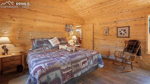 Tiny photo for 155 Squilchuk Trail, Woodland Park, CO 80863 (MLS # 6827038)