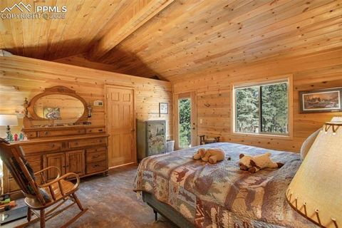 Tiny photo for 155 Squilchuk Trail, Woodland Park, CO 80863 (MLS # 6827038)