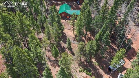 Tiny photo for 155 Squilchuk Trail, Woodland Park, CO 80863 (MLS # 6827038)