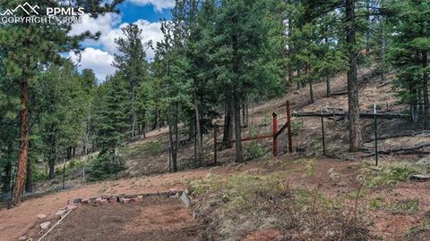 Tiny photo for 155 Squilchuk Trail, Woodland Park, CO 80863 (MLS # 6827038)