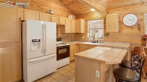 Tiny photo for 155 Squilchuk Trail, Woodland Park, CO 80863 (MLS # 6827038)