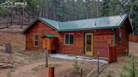 Tiny photo for 155 Squilchuk Trail, Woodland Park, CO 80863 (MLS # 6827038)