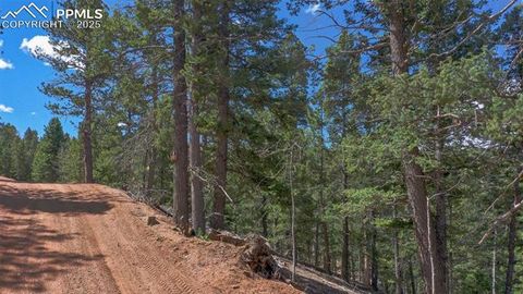 Tiny photo for 155 Squilchuk Trail, Woodland Park, CO 80863 (MLS # 6827038)