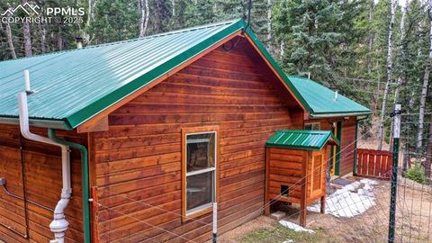 Tiny photo for 155 Squilchuk Trail, Woodland Park, CO 80863 (MLS # 6827038)