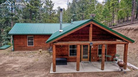 Tiny photo for 155 Squilchuk Trail, Woodland Park, CO 80863 (MLS # 6827038)