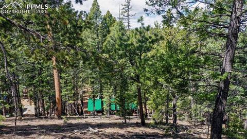 Tiny photo for 155 Squilchuk Trail, Woodland Park, CO 80863 (MLS # 6827038)