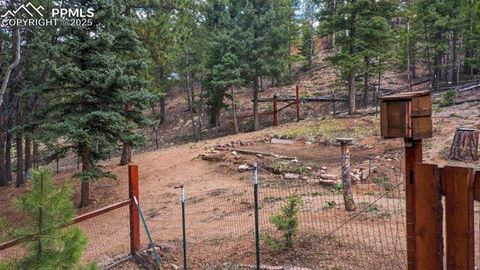 Tiny photo for 155 Squilchuk Trail, Woodland Park, CO 80863 (MLS # 6827038)
