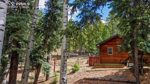 Tiny photo for 155 Squilchuk Trail, Woodland Park, CO 80863 (MLS # 6827038)
