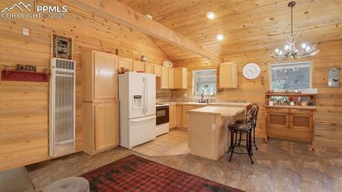 Tiny photo for 155 Squilchuk Trail, Woodland Park, CO 80863 (MLS # 6827038)