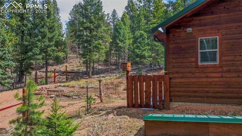Tiny photo for 155 Squilchuk Trail, Woodland Park, CO 80863 (MLS # 6827038)