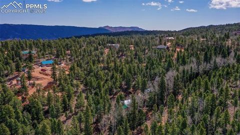 Tiny photo for 155 Squilchuk Trail, Woodland Park, CO 80863 (MLS # 6827038)