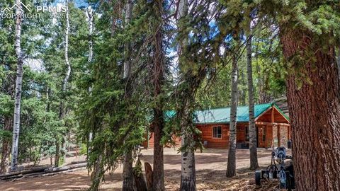 Tiny photo for 155 Squilchuk Trail, Woodland Park, CO 80863 (MLS # 6827038)