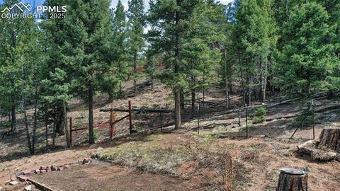 Tiny photo for 155 Squilchuk Trail, Woodland Park, CO 80863 (MLS # 6827038)