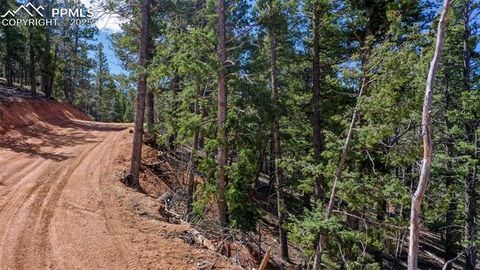 Tiny photo for 155 Squilchuk Trail, Woodland Park, CO 80863 (MLS # 6827038)