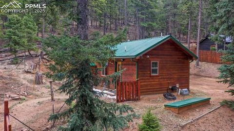 Tiny photo for 155 Squilchuk Trail, Woodland Park, CO 80863 (MLS # 6827038)
