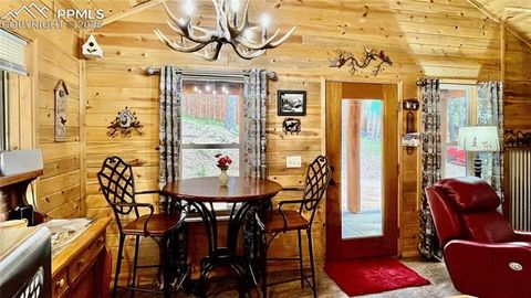 Tiny photo for 155 Squilchuk Trail, Woodland Park, CO 80863 (MLS # 6827038)