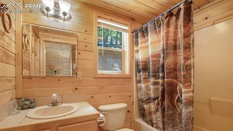 Tiny photo for 155 Squilchuk Trail, Woodland Park, CO 80863 (MLS # 6827038)