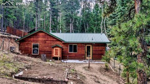 Tiny photo for 155 Squilchuk Trail, Woodland Park, CO 80863 (MLS # 6827038)