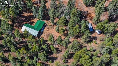 Tiny photo for 155 Squilchuk Trail, Woodland Park, CO 80863 (MLS # 6827038)