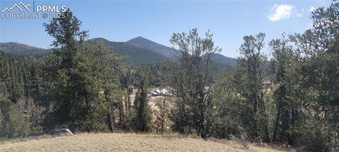 Photo of 257 Portland Drive, Cripple Creek, CO 80813 (MLS # 7477269)