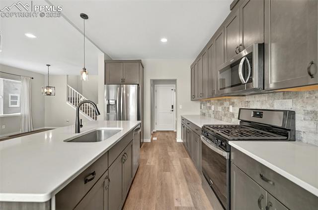 463 Blanket Flower Street