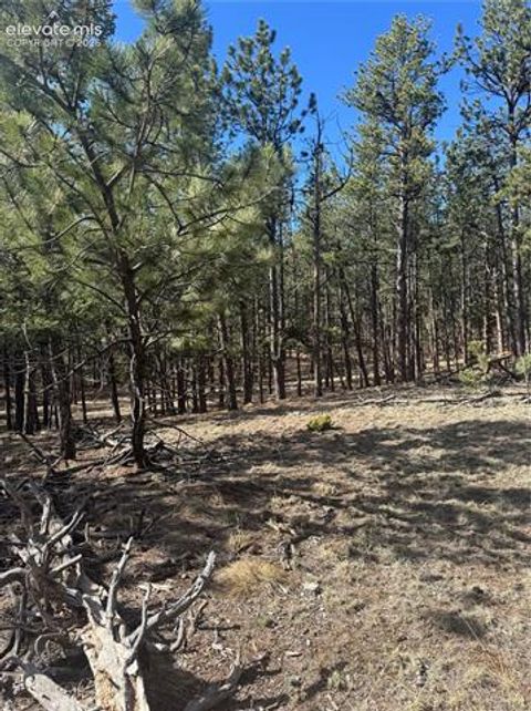 Photo of 642 Matterhorn Drive, Florissant, CO 80816 (MLS # 2098578)