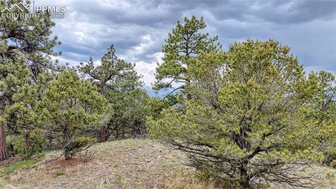 Photo of 44 Honeysuckle Terrace, Westcliffe, CO 81252 (MLS # 4508092)