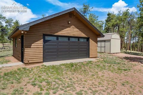 Tiny photo for 187 Thunder Ridge Road, Florissant, CO 80816 (MLS # 7923743)