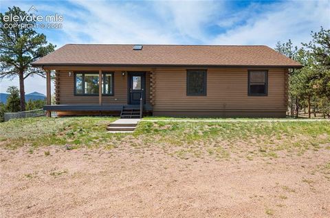 Tiny photo for 187 Thunder Ridge Road, Florissant, CO 80816 (MLS # 7923743)