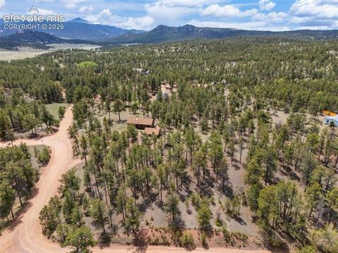 Tiny photo for 187 Thunder Ridge Road, Florissant, CO 80816 (MLS # 7923743)