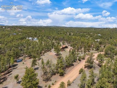 Tiny photo for 187 Thunder Ridge Road, Florissant, CO 80816 (MLS # 7923743)