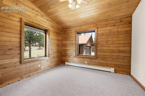 Tiny photo for 187 Thunder Ridge Road, Florissant, CO 80816 (MLS # 7923743)