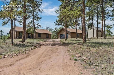 Photo of 187 Thunder Ridge Road, Florissant, CO 80816 (MLS # 7923743)