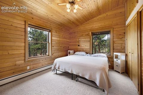 Tiny photo for 187 Thunder Ridge Road, Florissant, CO 80816 (MLS # 7923743)