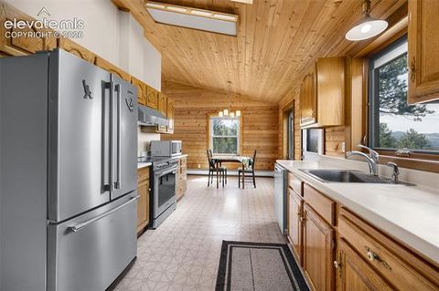 Tiny photo for 187 Thunder Ridge Road, Florissant, CO 80816 (MLS # 7923743)