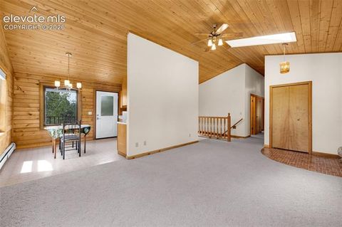 Tiny photo for 187 Thunder Ridge Road, Florissant, CO 80816 (MLS # 7923743)