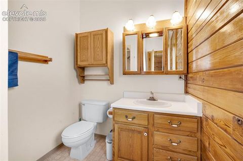 Tiny photo for 187 Thunder Ridge Road, Florissant, CO 80816 (MLS # 7923743)