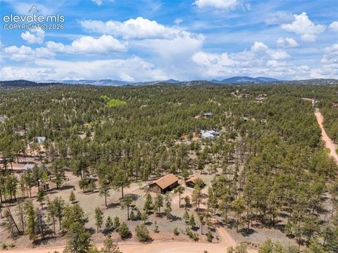 Tiny photo for 187 Thunder Ridge Road, Florissant, CO 80816 (MLS # 7923743)