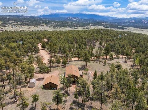 Tiny photo for 187 Thunder Ridge Road, Florissant, CO 80816 (MLS # 7923743)