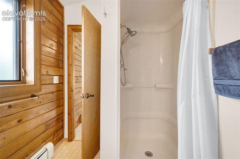 Tiny photo for 187 Thunder Ridge Road, Florissant, CO 80816 (MLS # 7923743)