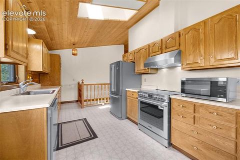 Tiny photo for 187 Thunder Ridge Road, Florissant, CO 80816 (MLS # 7923743)