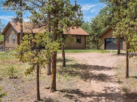 Tiny photo for 187 Thunder Ridge Road, Florissant, CO 80816 (MLS # 7923743)