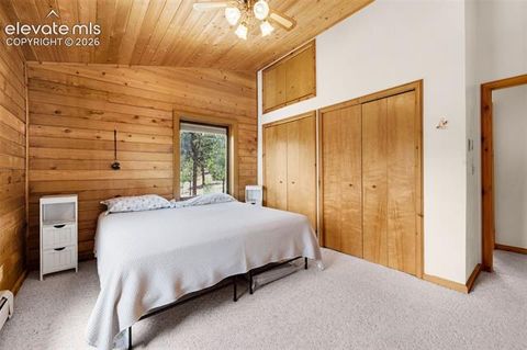Tiny photo for 187 Thunder Ridge Road, Florissant, CO 80816 (MLS # 7923743)