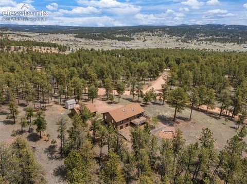 Tiny photo for 187 Thunder Ridge Road, Florissant, CO 80816 (MLS # 7923743)