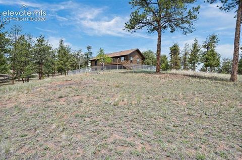 Tiny photo for 187 Thunder Ridge Road, Florissant, CO 80816 (MLS # 7923743)