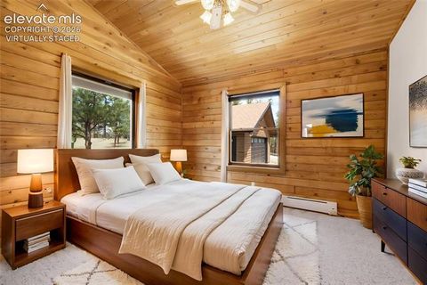 Tiny photo for 187 Thunder Ridge Road, Florissant, CO 80816 (MLS # 7923743)