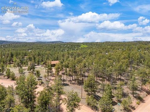 Tiny photo for 187 Thunder Ridge Road, Florissant, CO 80816 (MLS # 7923743)